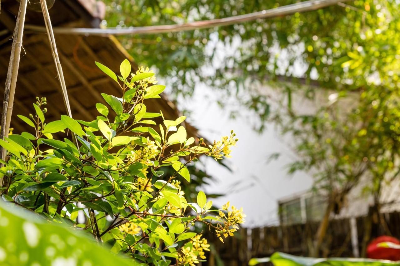 Under The Coconut Tree Hoi An Homestay ภายนอก รูปภาพ